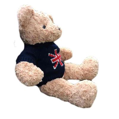 Stuk speelgoed van Warmness het Leuke Zachte Gevulde Teddy Bear Customized Plush Cuddly