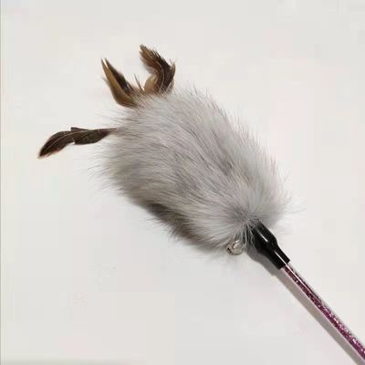 Het plagen Huisdierenpluche Cat Toy Fox Feather Plush Teasing Cat Stick With Handle