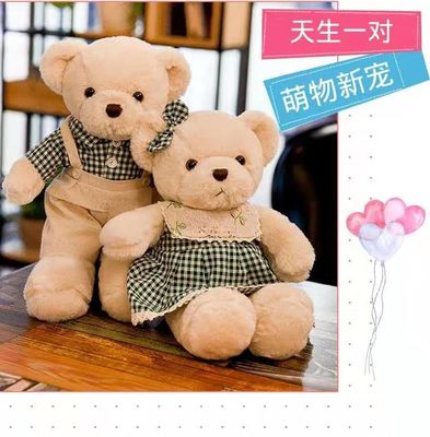 Rode Plaidrok Snoezig Teddy Bear Soft Toy Bear 30cm OEM