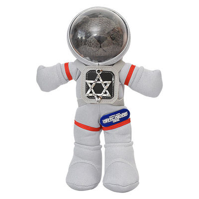 ISO9001 pp-het Katoen vulde 30cm Jonge geitjes Teddy Bear Stuffed Toys