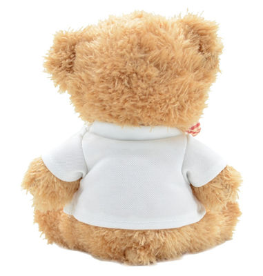 De snel Inopnieuw gebondene 20cm Hoodie Kinderen van Boogteddy bear plush toys for