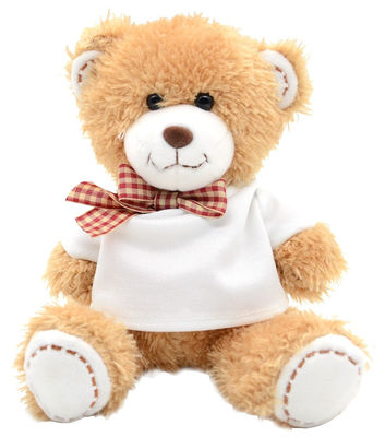 De snel Inopnieuw gebondene 20cm Hoodie Kinderen van Boogteddy bear plush toys for