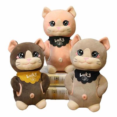 OEM Leuke Cat Plush Toy van Huid Vriendschappelijke 20cm Kinderen