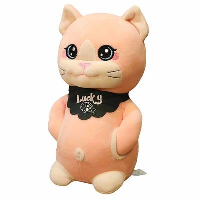 OEM Leuke Cat Plush Toy van Huid Vriendschappelijke 20cm Kinderen