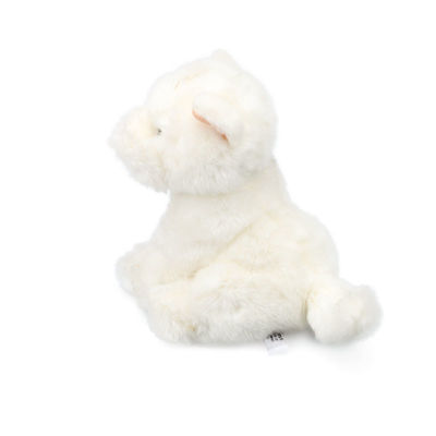 EN71 20cm Wit Hond Gevuld Toy For Baby Soothing